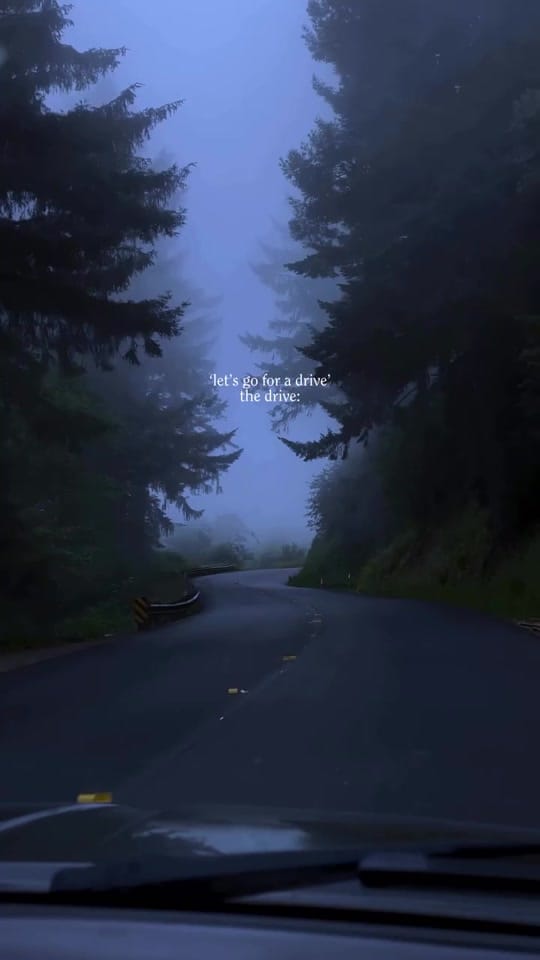 Post 1 by TreeHouseBus on TikTok (video)