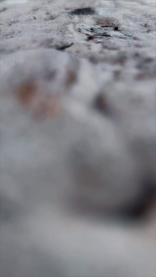 Post 9 by Jannik abelt on TikTok (video)
