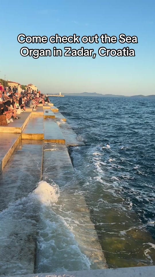 Post 2 by eclaire.chappy on TikTok (video)