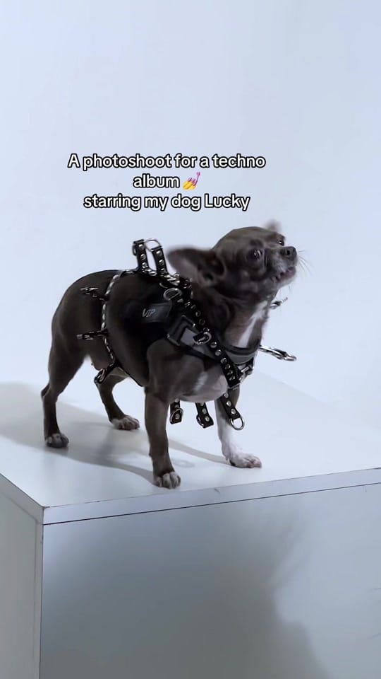 Post 2 by Viktoriia Temnova on TikTok (video)
