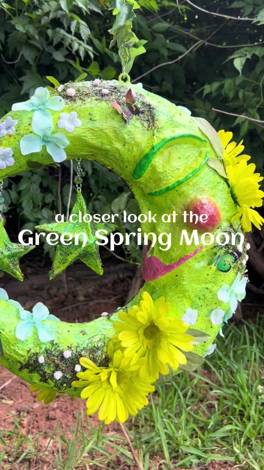 Post 5 by Ellery Anderson on TikTok (video)