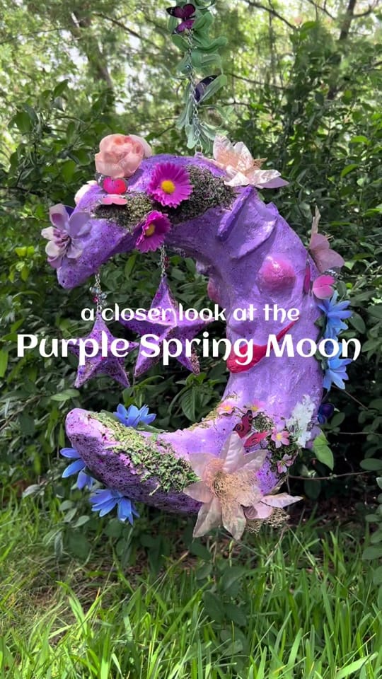 Post 3 by Ellery Anderson on TikTok (video)