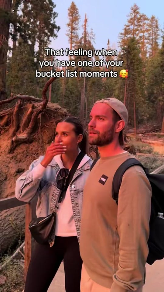 Post 7 by Dear Diary 📝 on TikTok (video)