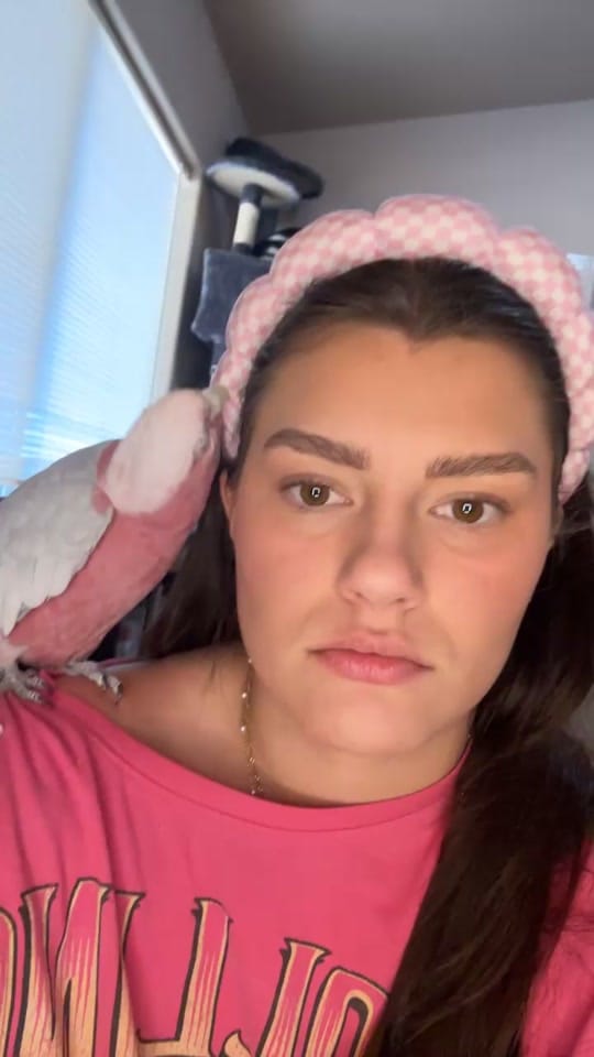 Post 4 by addisyn packer on TikTok (video)
