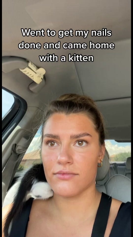 Post 8 by addisyn packer on TikTok (video)