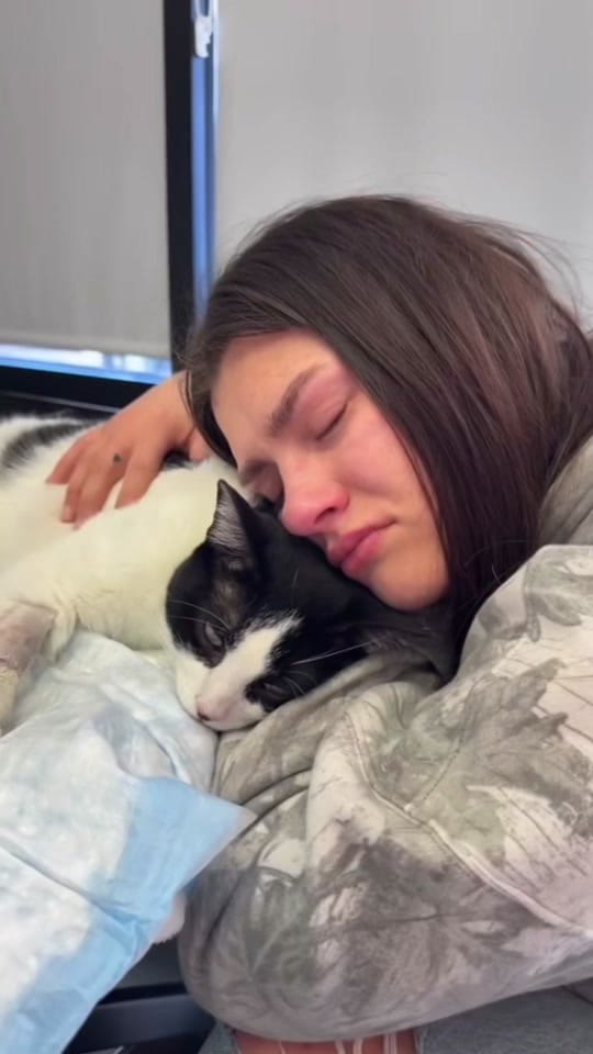 Post 1 by addisyn packer on TikTok (video)