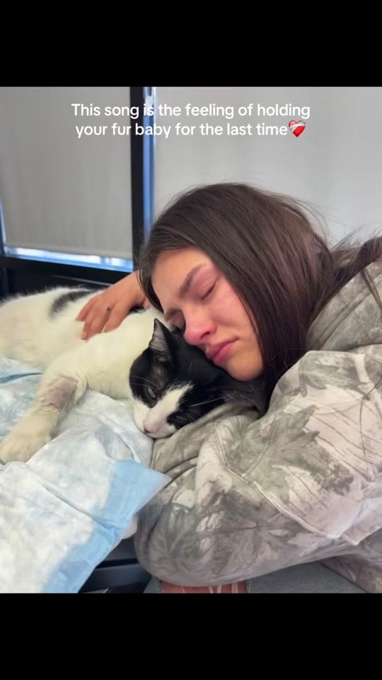 Post 3 by addisyn packer on TikTok (video)
