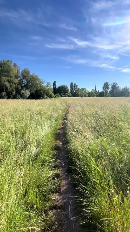 Post 4 by Igor Vavilin on TikTok (video)