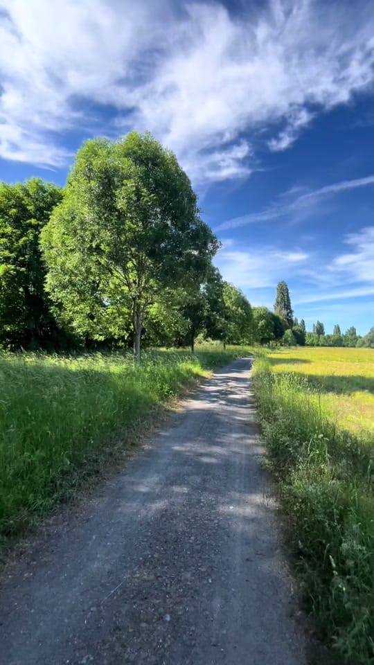 Post 5 by Igor Vavilin on TikTok (video)