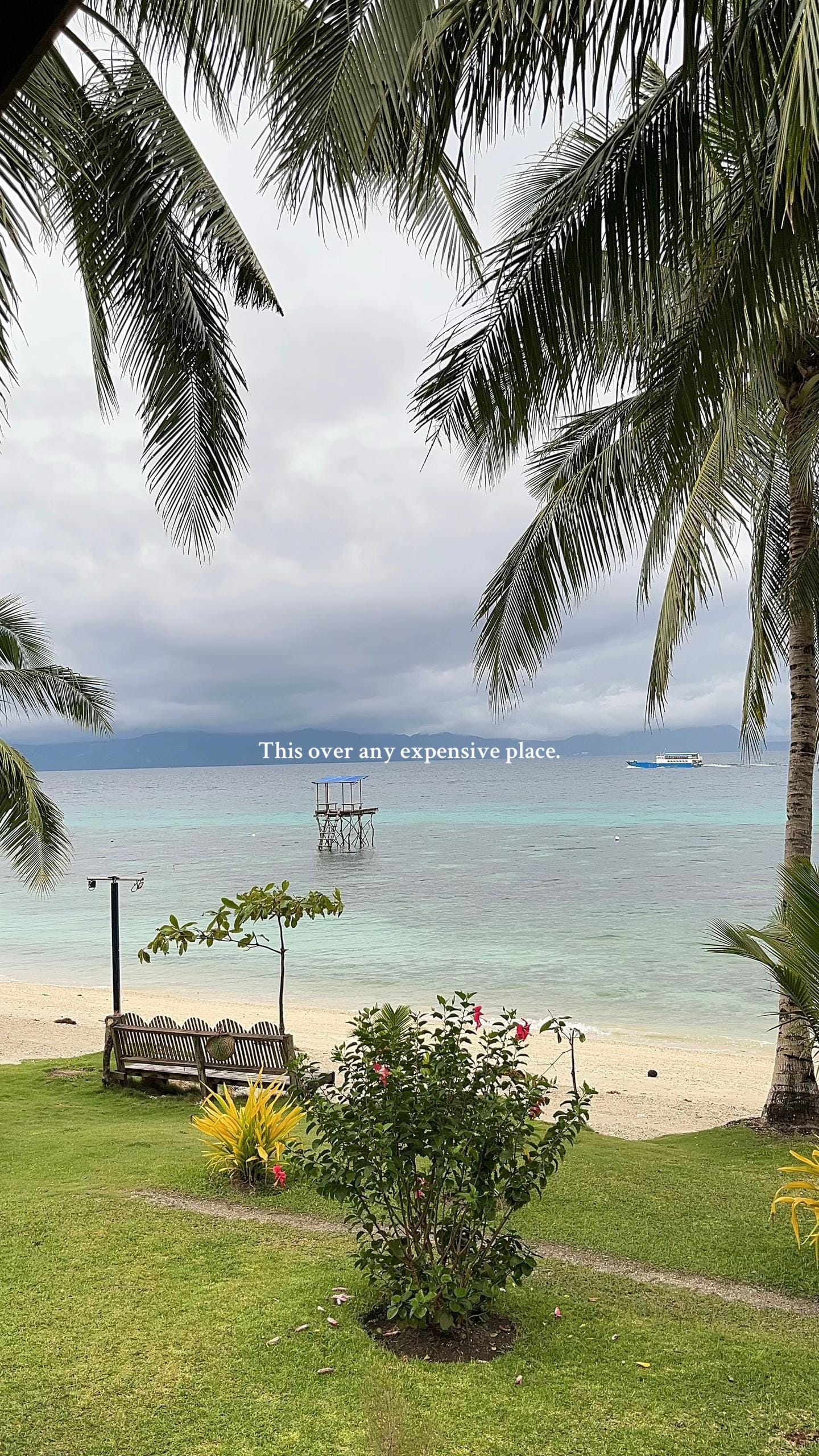 Post 8 by ~iol on TikTok (video)