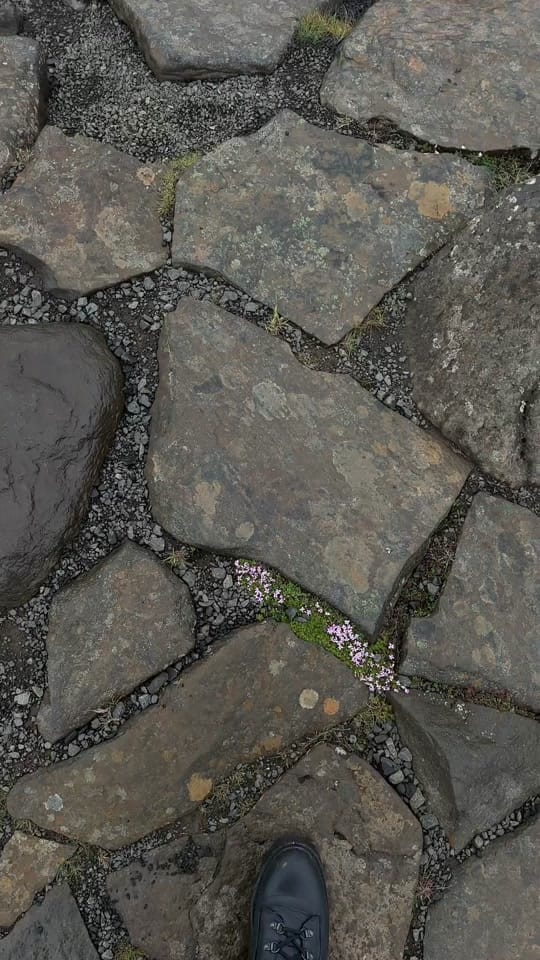 Post 7 by Lotterlive on TikTok (video)