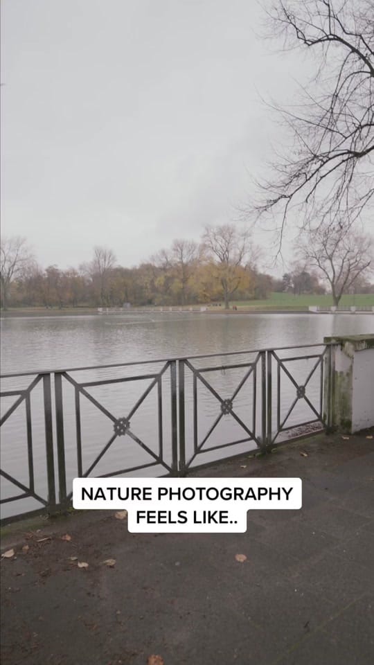 Post 9 by Norman on TikTok (video)