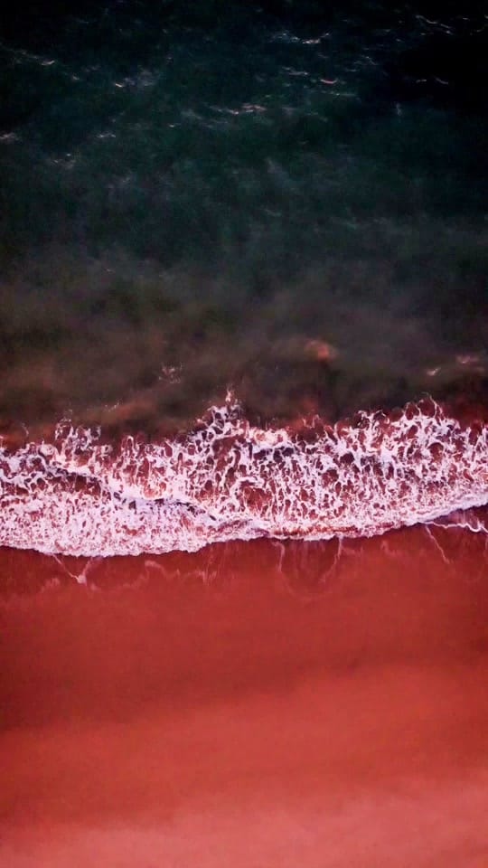 Post 10 by Norman on TikTok (video)