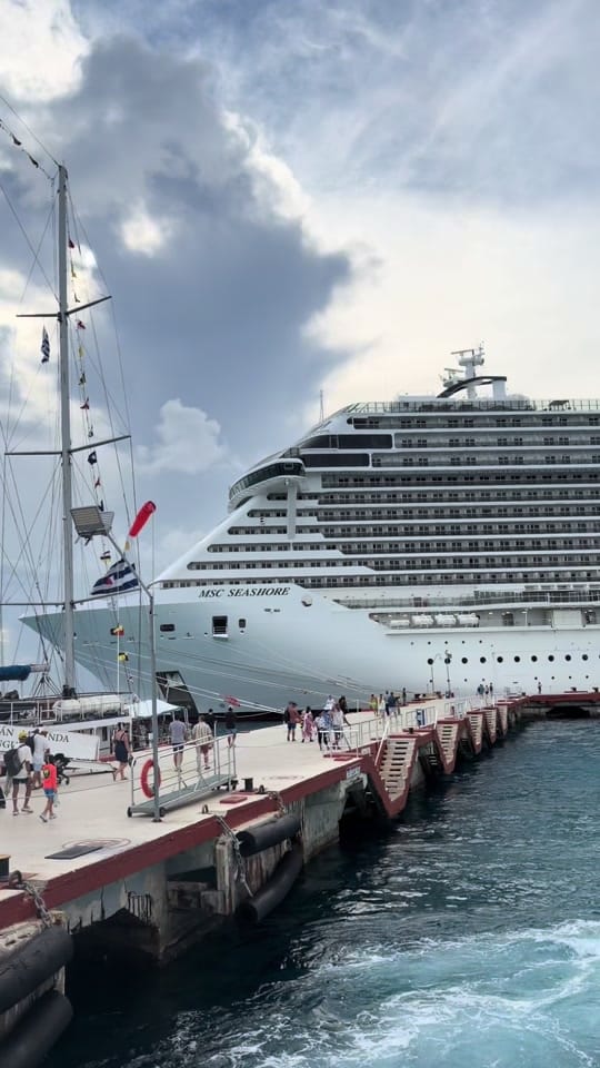 Post 2 by cruisingwithkayla on TikTok (video)