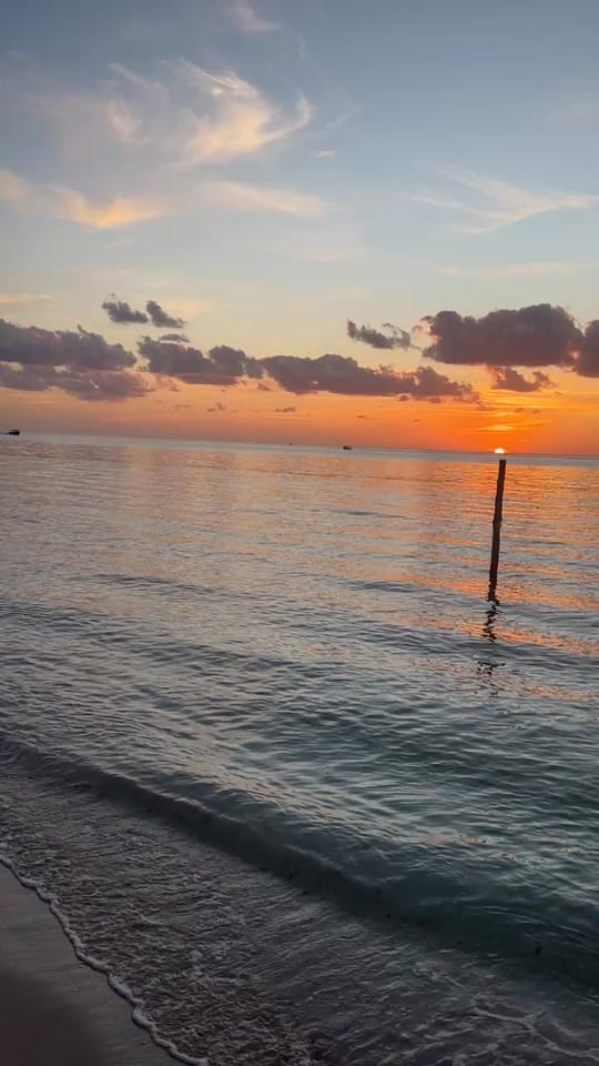 Post 5 by AngiesWorld on TikTok (video)