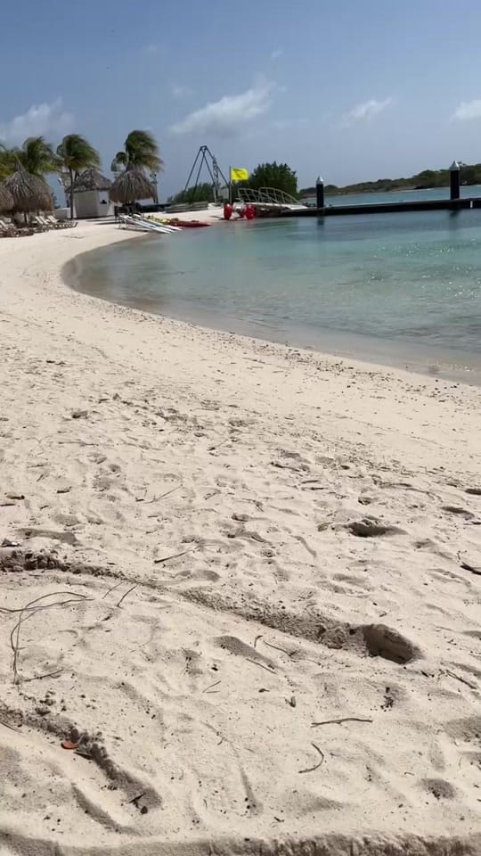 Post 6 by AngiesWorld on TikTok (video)