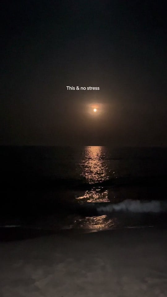 Post 6 by Wissam on TikTok (video)