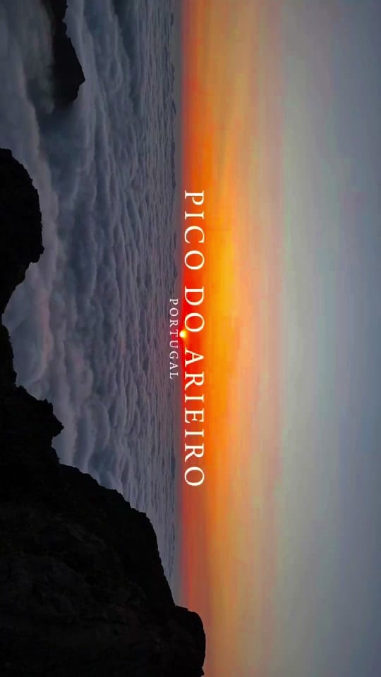 Post 1 by Marie on TikTok (video)