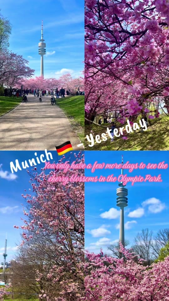 Post 3 by AndiP.Munich on TikTok (video)