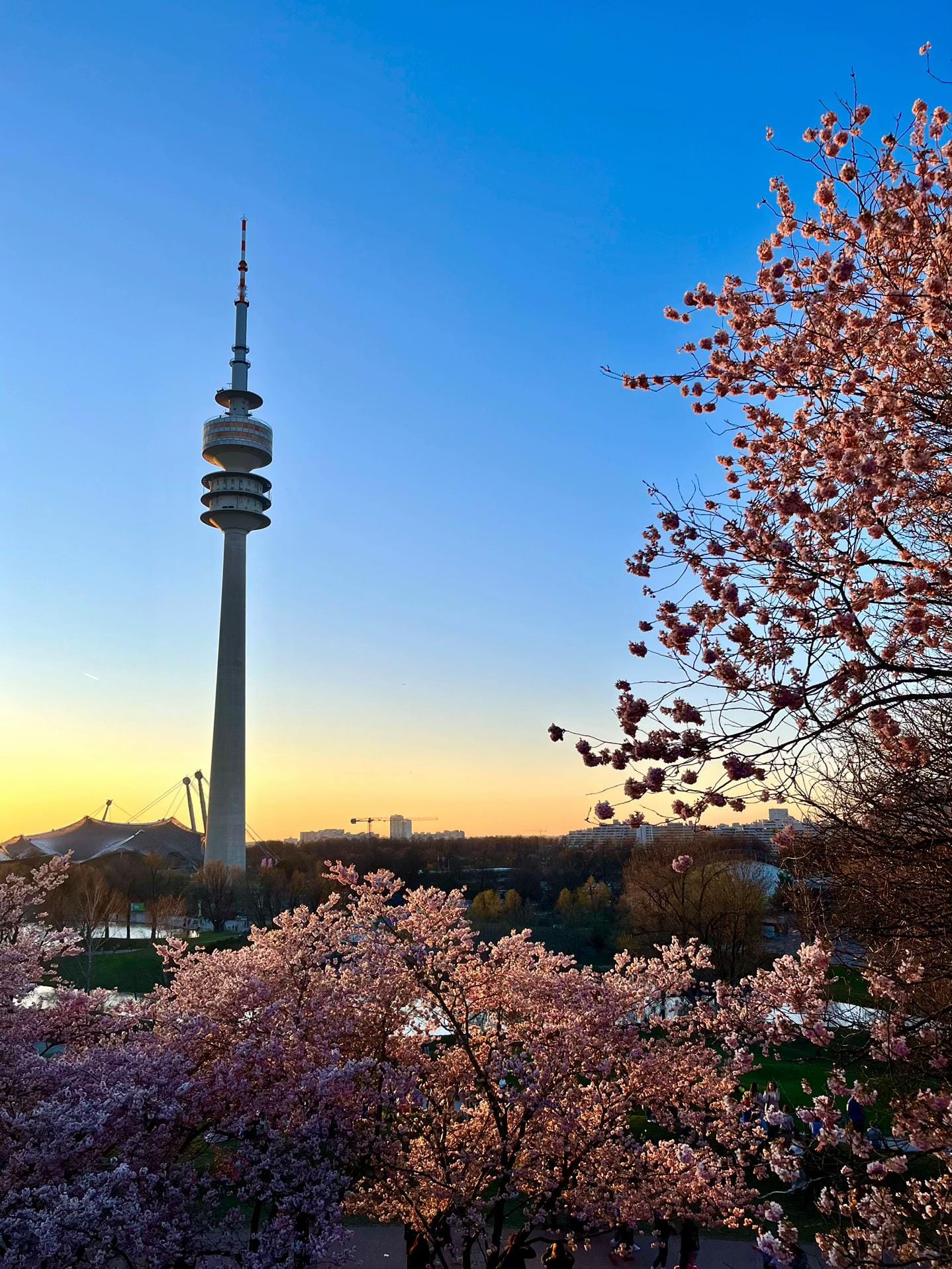 Post 4 by AndiP.Munich on TikTok (video)
