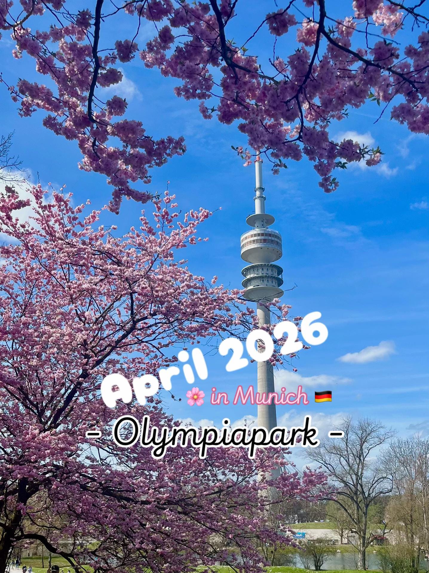 Post 2 by AndiP.Munich on TikTok (video)