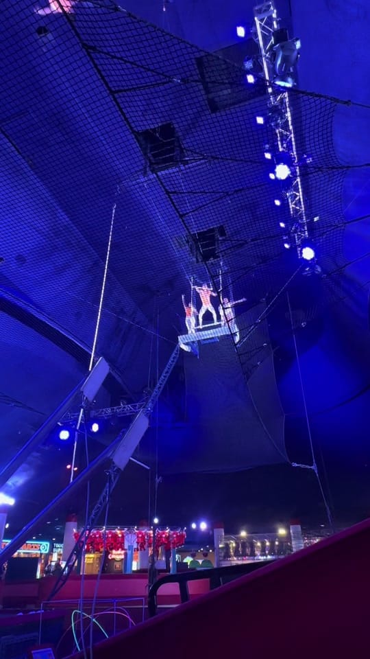 Post 8 by Thiago Evans on TikTok (video)