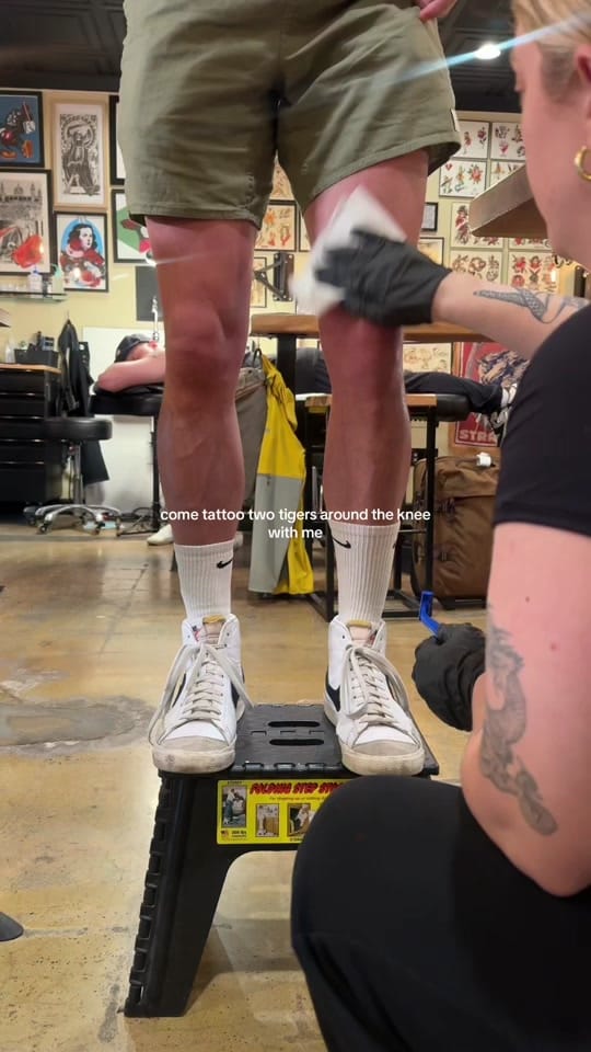 Post 9 by Sophia Raglione on TikTok (video)