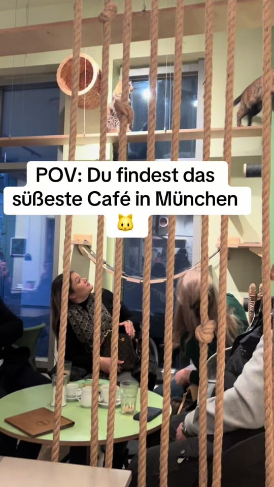 Post 9 by seli.food.travel on TikTok (video)