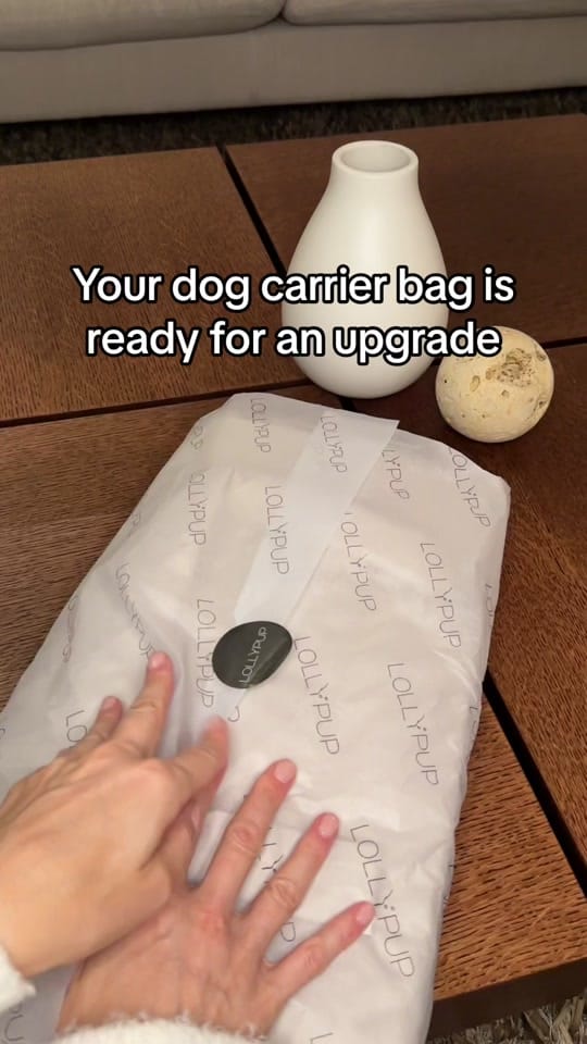 Post 9 by LollyPup on TikTok (video)