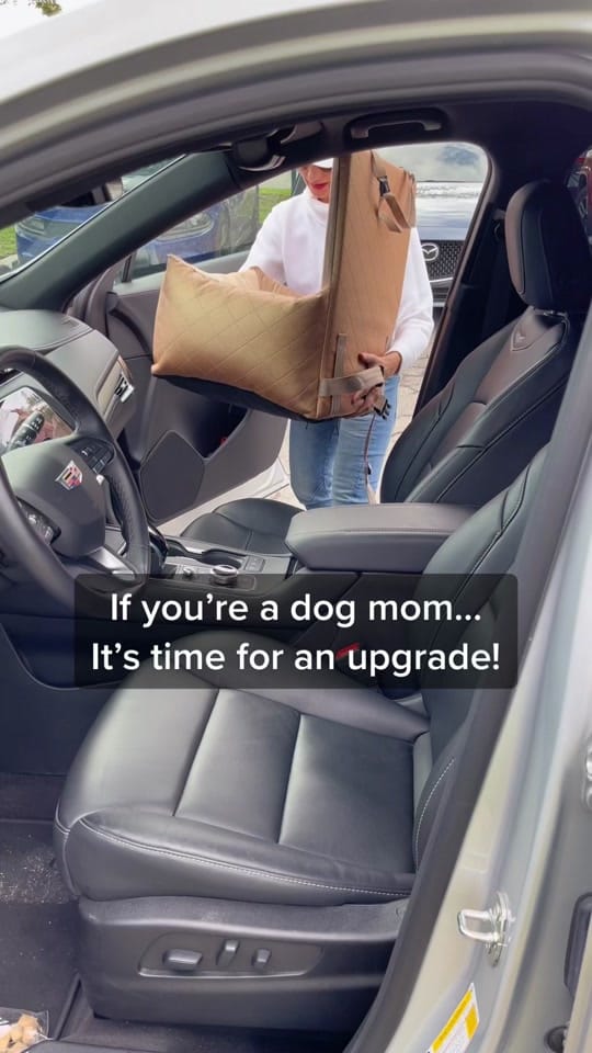 Post 10 by LollyPup on TikTok (video)