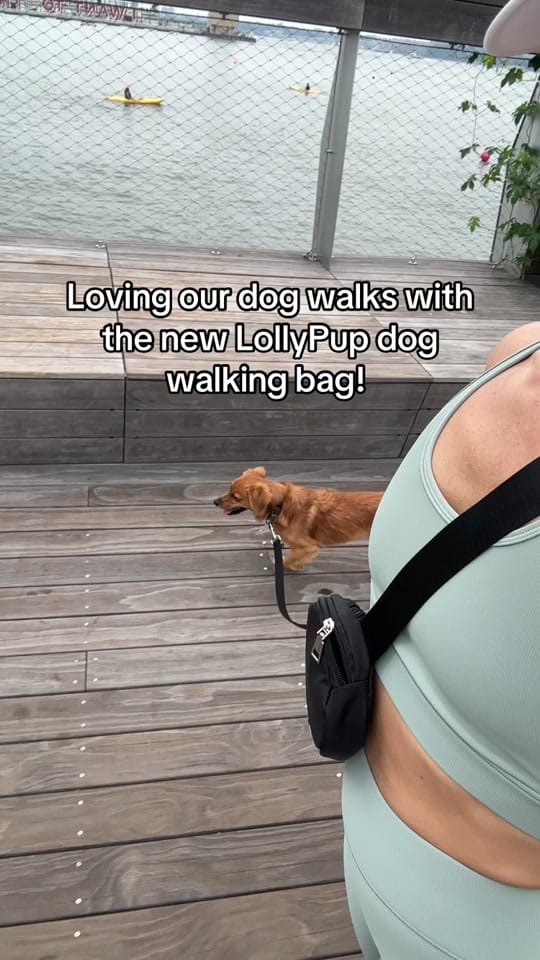 Post 6 by LollyPup on TikTok (video)