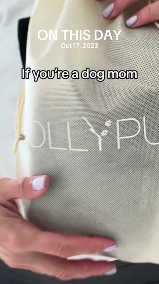 Post 4 by LollyPup on TikTok (video)