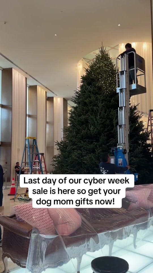 Post 3 by LollyPup on TikTok (video)