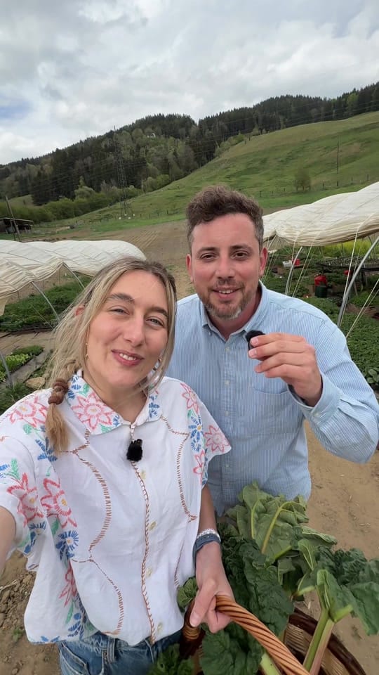 Post 2 by Food Kollektiv on TikTok (video)
