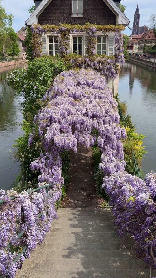 Post 9 by dasha.homir on TikTok (video)