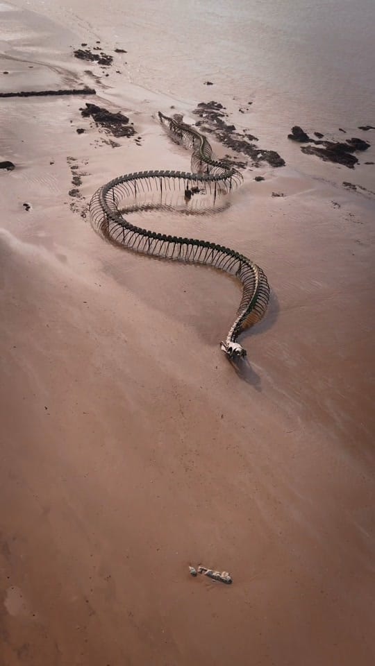 Post 3 by MAREN | Travel & Urbex on TikTok (video)