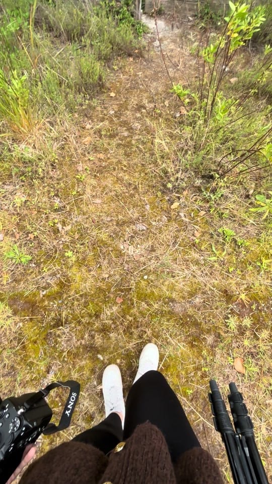 Post 1 by MAREN | Travel & Urbex on TikTok (video)