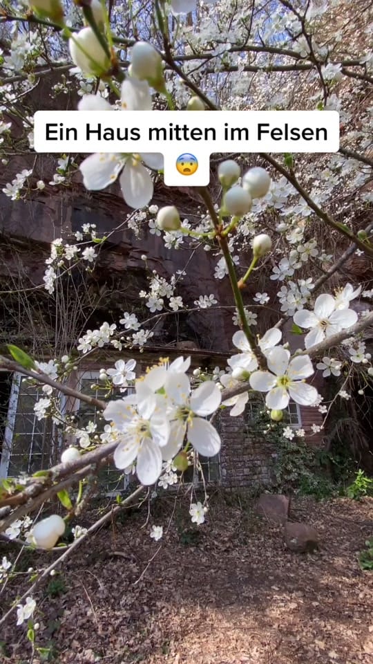 Post 9 by MAREN | Travel & Urbex on TikTok (video)