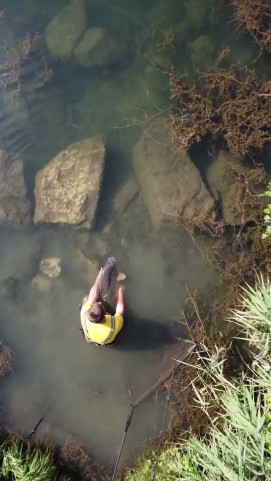 Post 3 by Marc Fähnrich on TikTok (video)
