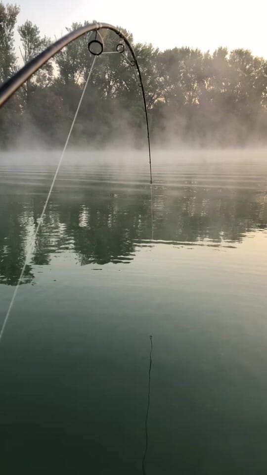 Post 8 by Marc Fähnrich on TikTok (video)