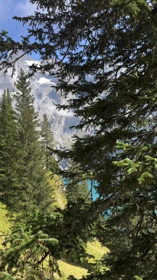 Post 6 by justruv on TikTok (video)