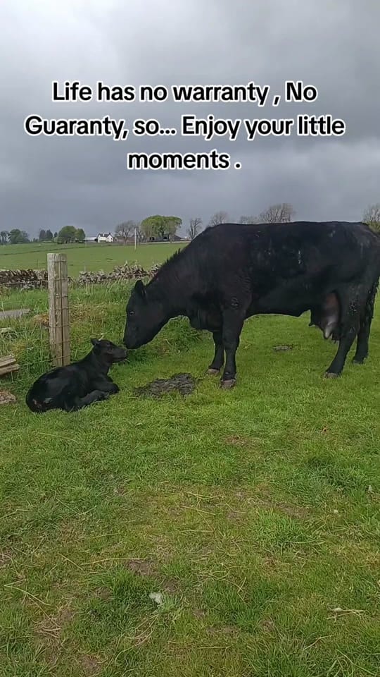 Post 4 by Travel bug on TikTok (video)