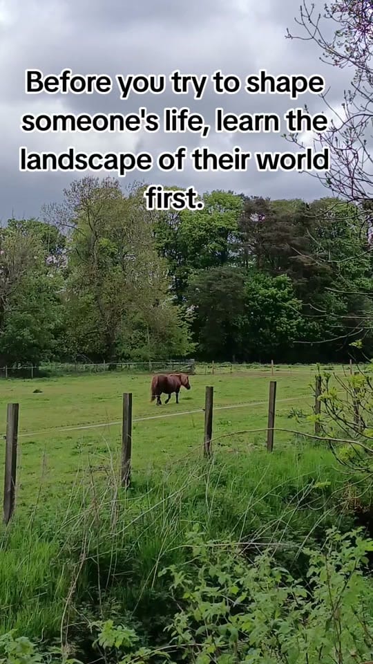 Post 7 by Travel bug on TikTok (video)