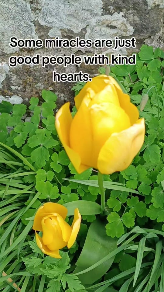 Post 8 by Travel bug on TikTok (video)