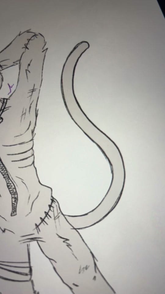 Post 4 by NikomeDraws on TikTok (video)