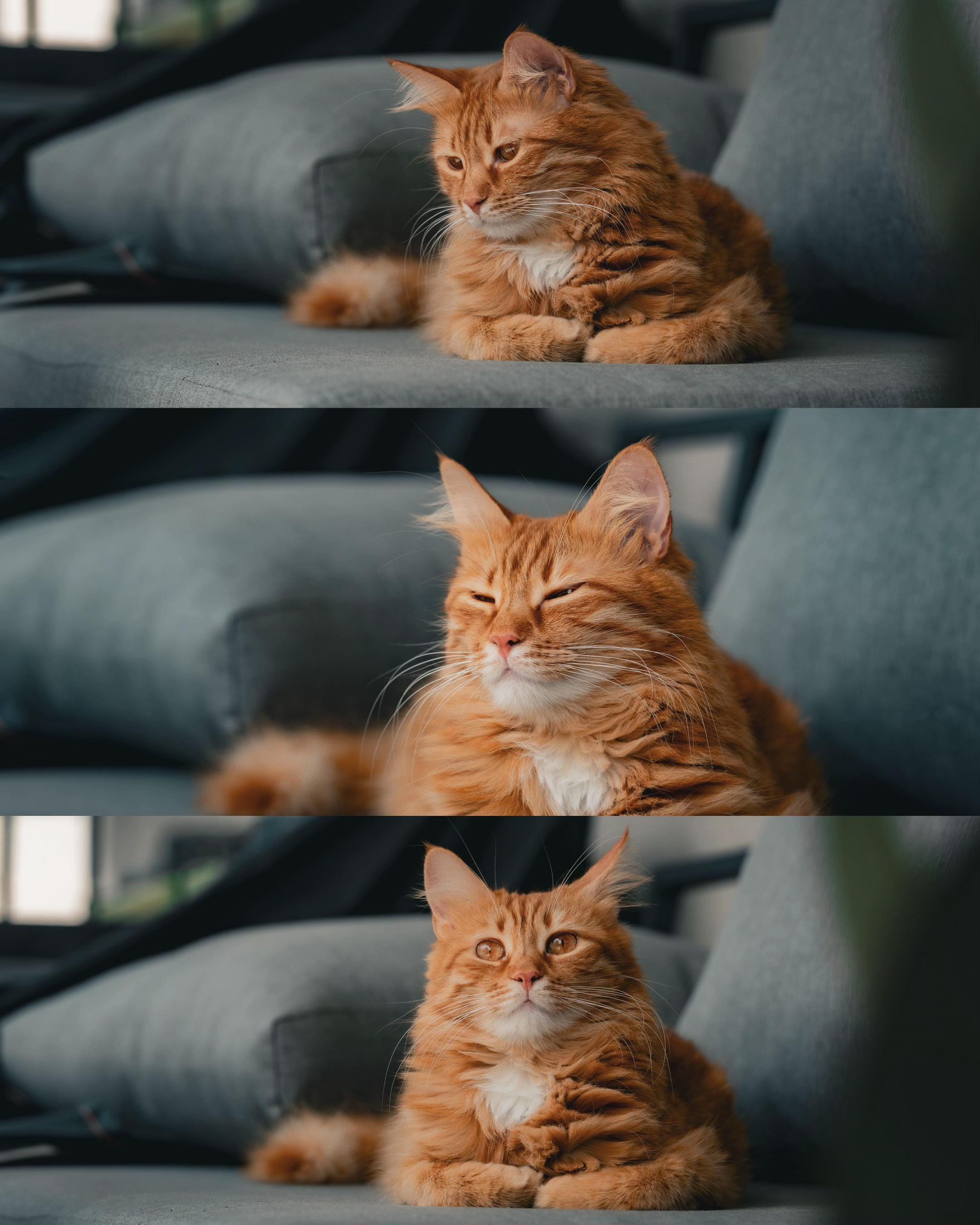 Post 3 by Raja Sen on TikTok (video)