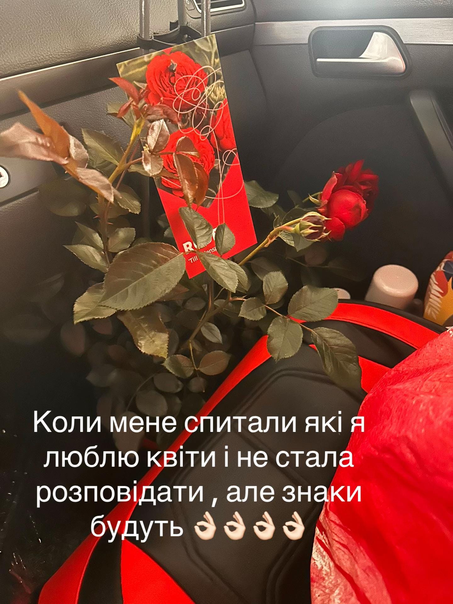 Post 10 by Svitlana Nezhura on TikTok (video)
