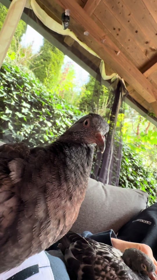 Post 6 by May Renner on TikTok (video)