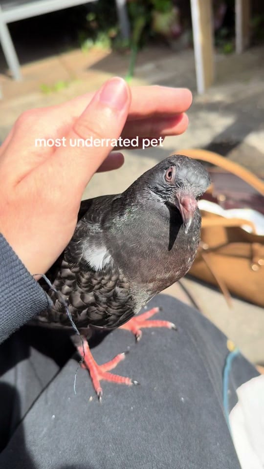 Post 7 by May Renner on TikTok (video)