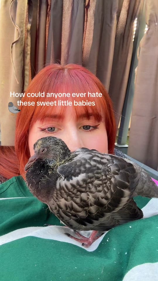 Post 10 by May Renner on TikTok (video)